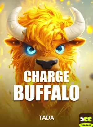 Experiência de Jogos 5cc.com